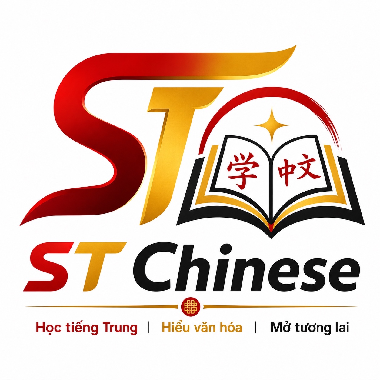 Logo ST Chinese